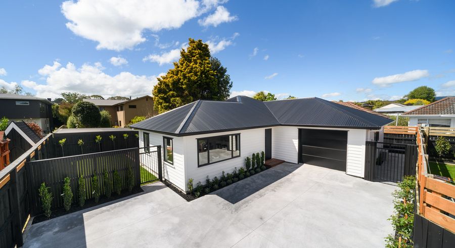  at 469A Ruahine Street, Terrace End, Palmerston North