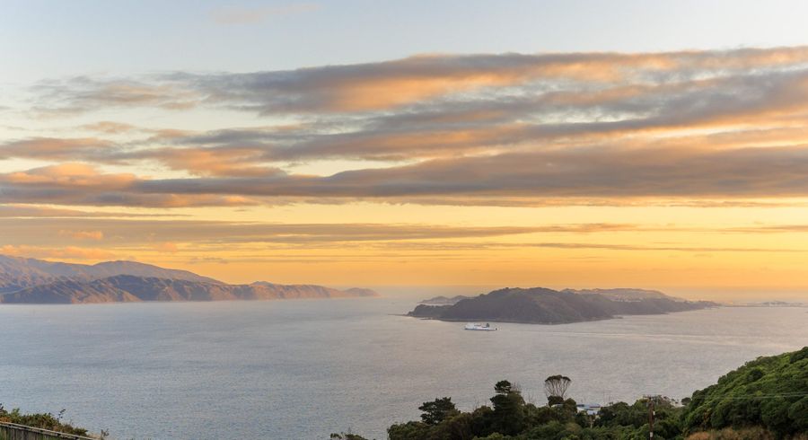  at 46 Domett Street, Newlands, Wellington, Wellington