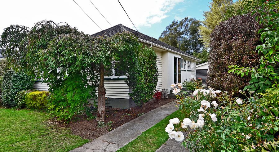  at 38 Roker Street, Somerfield, Christchurch
