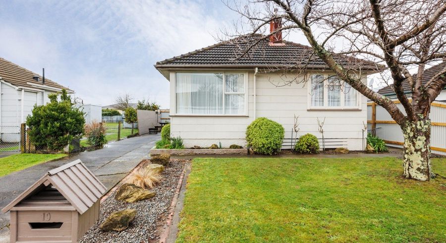  at 19 Manchester Street, Takaro, Palmerston North