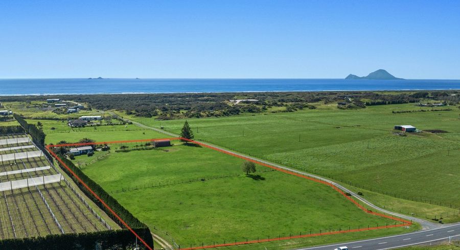  at 1004 Thornton Road, Matata, Whakatane