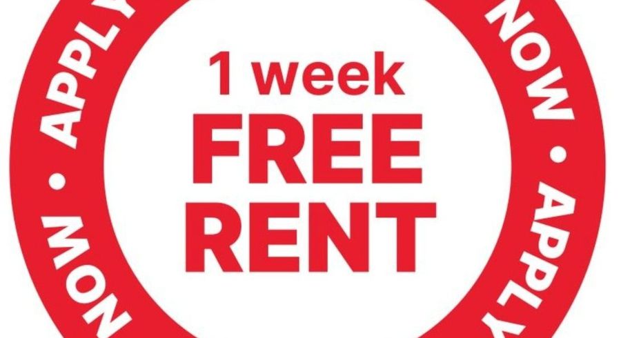  at 97 Squire Drive, Te Awa, Napier, Hawke's Bay