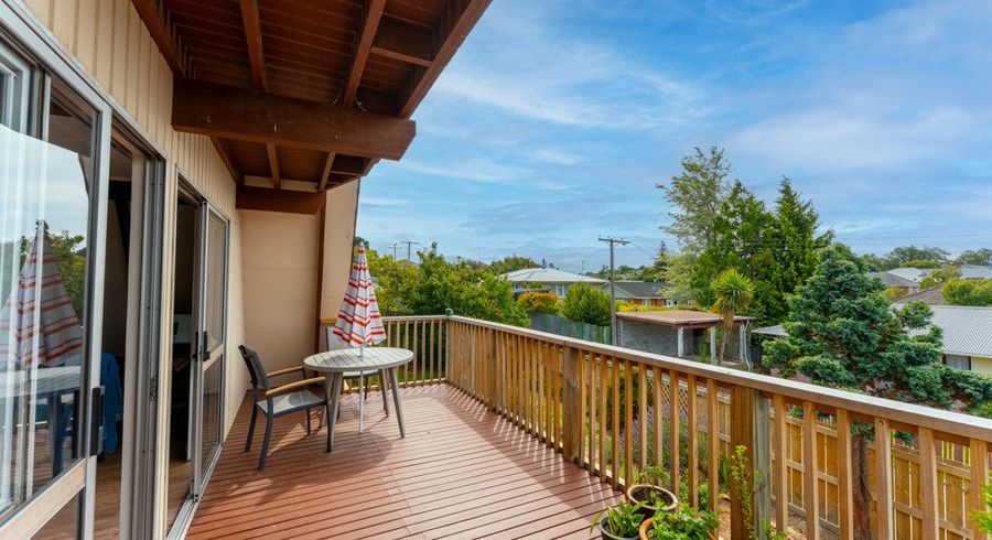  at 20 Killick Place, Marchwiel, Timaru, Canterbury