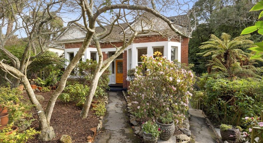  at 41 Littlebourne Road, Roslyn, Dunedin