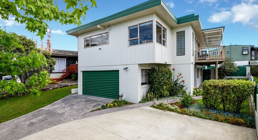  at 46 Spence Road, Henderson, Auckland