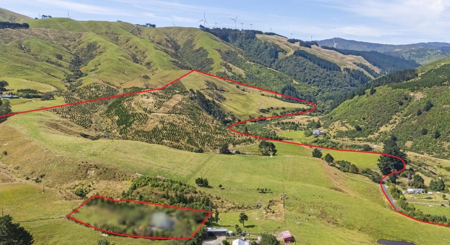  at 479 Kahuterawa Road, Linton, Palmerston North, Manawatu / Whanganui