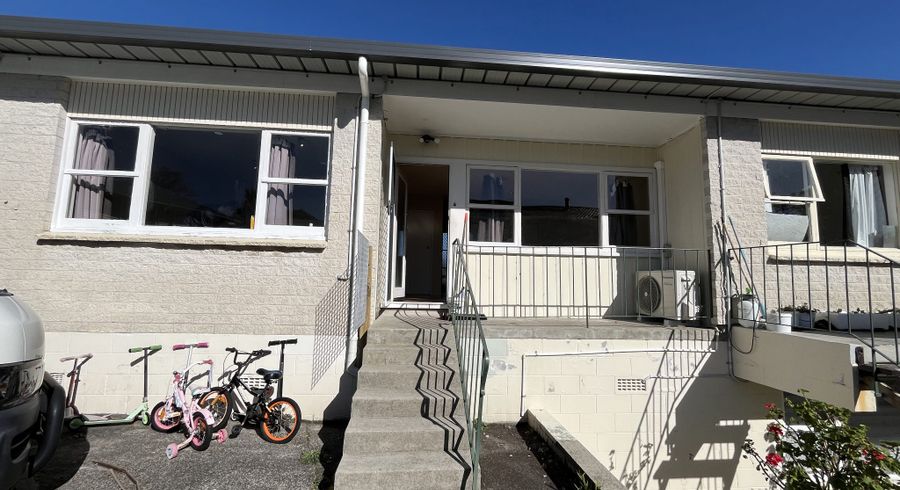  at 4/21 Frost Road, Mount Roskill, Auckland City, Auckland