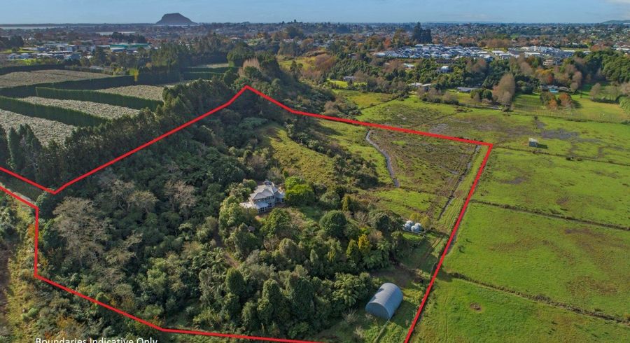  at 96 Taniwha Place, Bethlehem, Tauranga