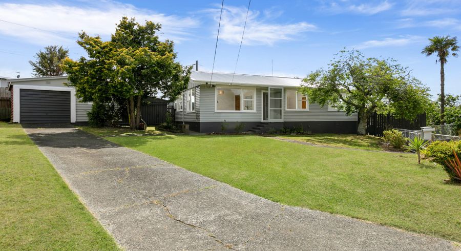  at 12 Fruitvale Road, New Lynn, Auckland