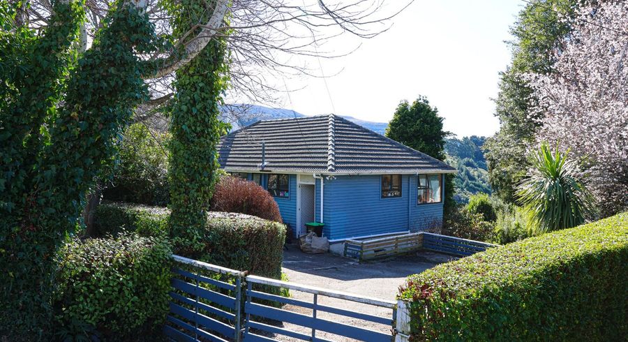  at 21 Cockerell Street, Brockville, Dunedin, Otago