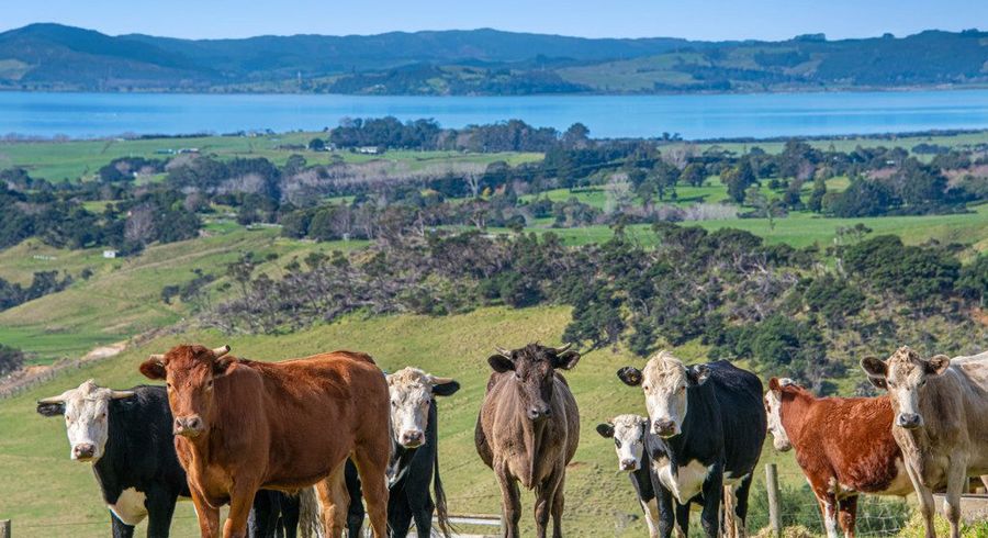  at 156 Te Kanae Road, South Head, Helensville, Rodney, Auckland