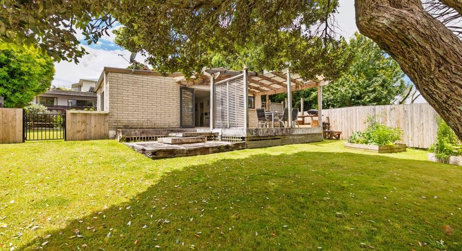  at 335 Maungatapu Road, Maungatapu, Tauranga