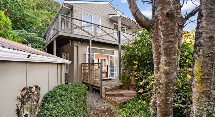  at 30 Rangiora Avenue, Kaiwharawhara, Wellington