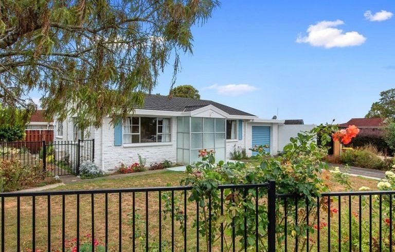  at 6 Leonard Place, Dinsdale, Hamilton, Waikato