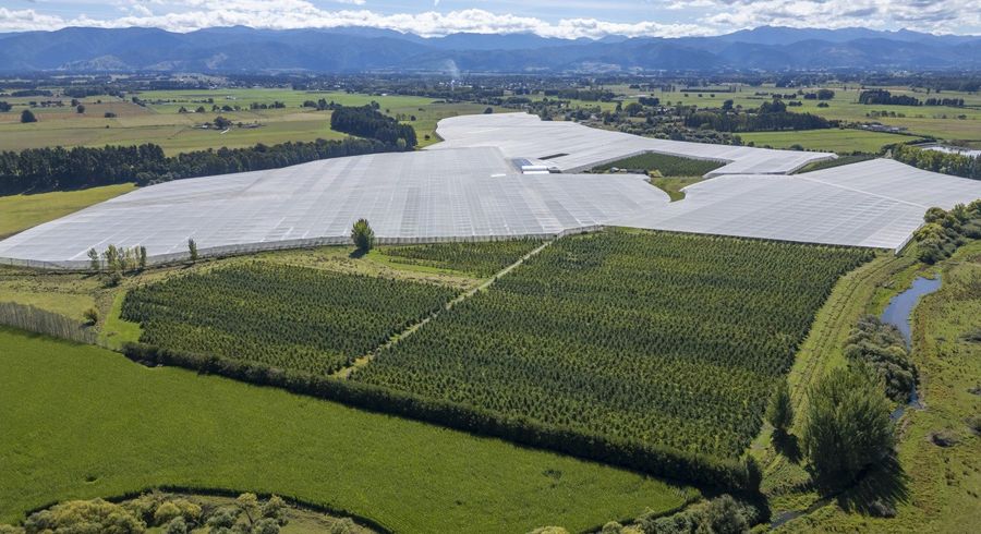  at 78 Gregs Lane, RD 1, Greytown, South Wairarapa, Wellington
