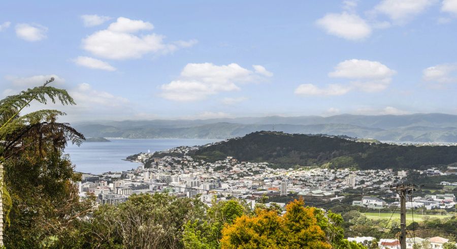  at 42 Karepa Street, Brooklyn, Wellington
