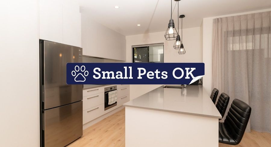  at 23 Cessna Crescent, Mangere, Auckland