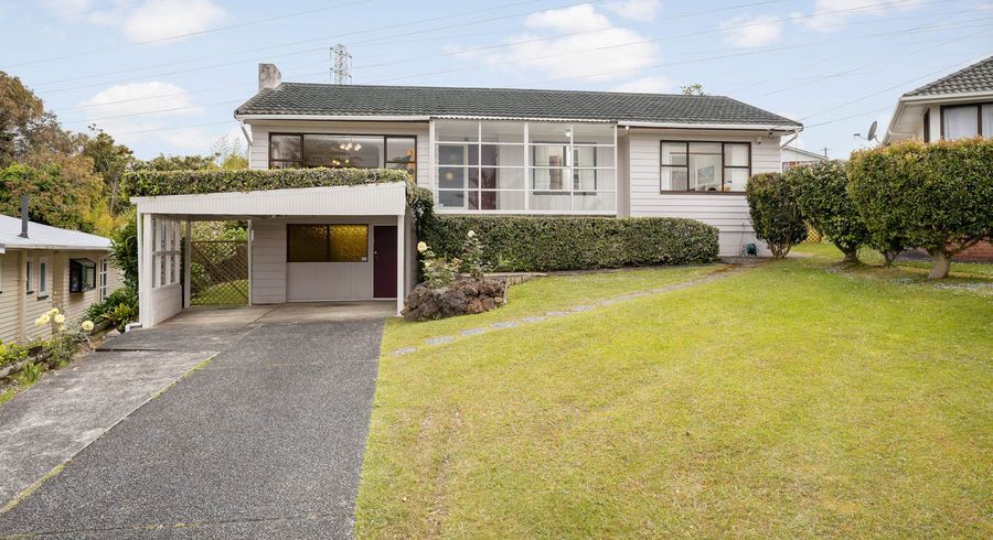  at 11 Robson Street, Mount Roskill, Auckland
