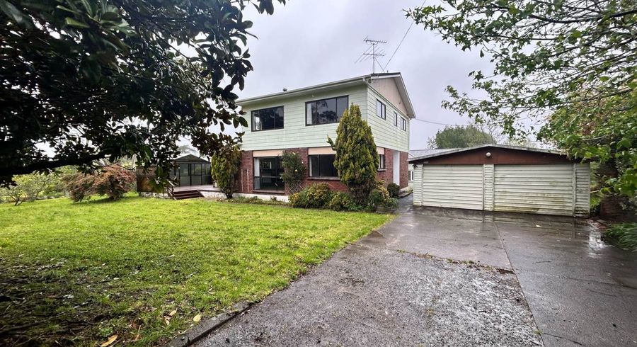  at 81 Blackbridge Road, Albany