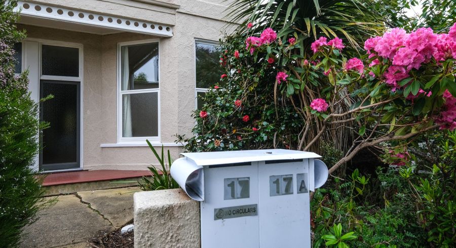  at 17a Scarba Street, Roslyn, Dunedin, Otago