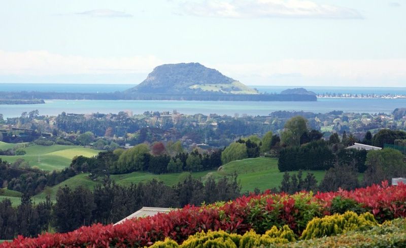  at 567B Esdaile Road, Whakamārama