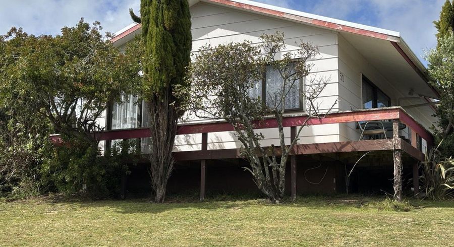  at 50 Treadwell Street, Springvale, Whanganui, Manawatu / Whanganui