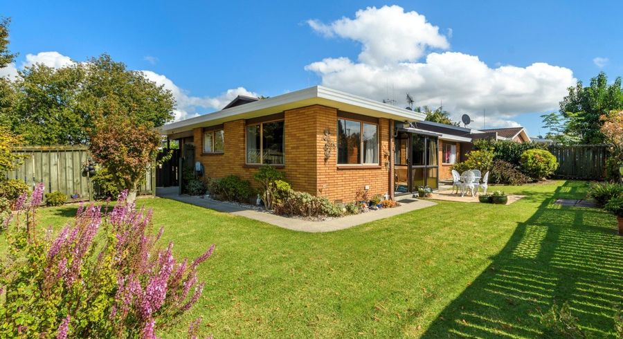  at 489 Devonport Road, Tauranga South, Tauranga, Bay Of Plenty