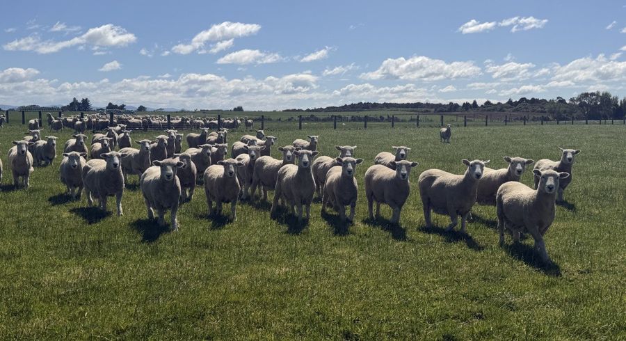  at 166 Brand Road, Kennington, Invercargill, Southland