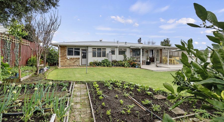  at 87 Maungatapu Road, Maungatapu, Tauranga