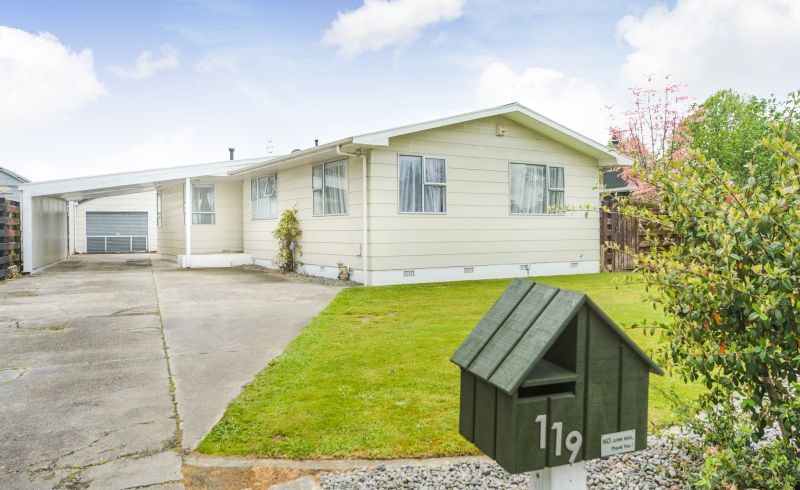  at 119 Tremaine Avenue, Westbrook, Palmerston North