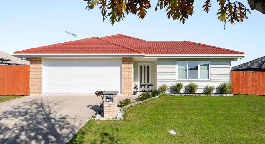  at 12 Briannarose Drive, Fitzroy, Hamilton, Waikato