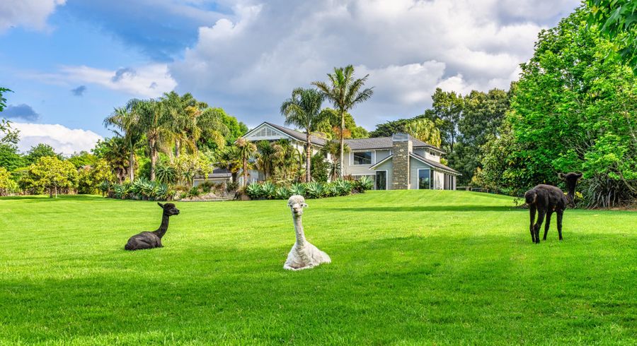  at 851 Ridge Road, Riverhead, Rodney, Auckland