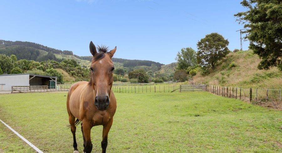  at 221 Waitao Road, Tauranga