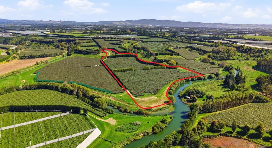  at 206 Casuarina Drive, Te Puke, Western Bay Of Plenty, Bay Of Plenty