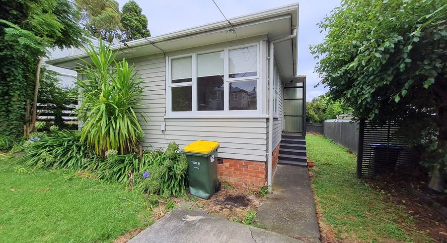  at 12 Hesketh Street, Kingsland, Auckland