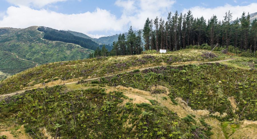  at Lot 17/355 Pretoria Road, Shannon, Horowhenua, Manawatu / Whanganui