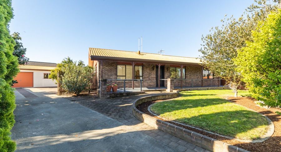  at 16 Palmer Place, Parkvale, Hastings, Hawke's Bay