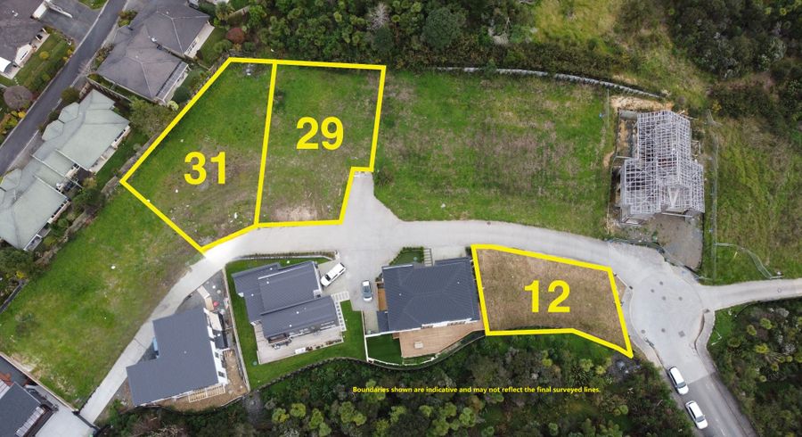  at 31, 29, 12 McMenamin Place, Fairview Heights, North Shore City, Auckland