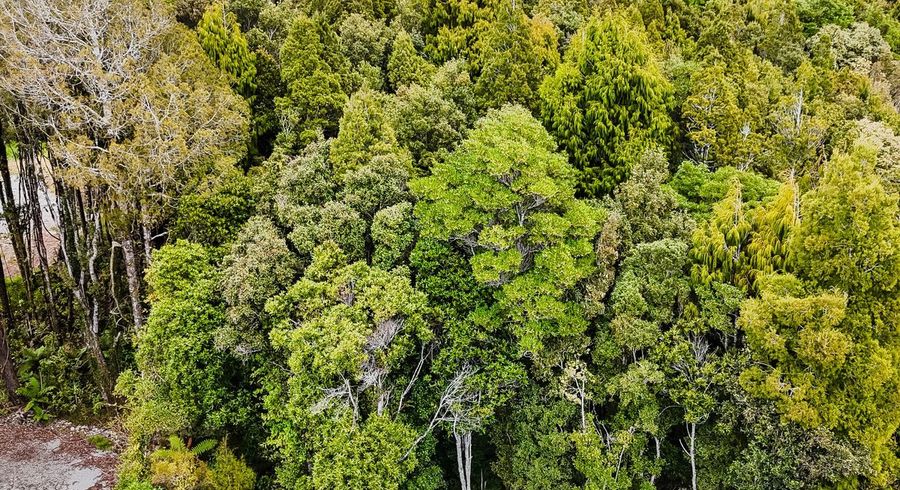  at 8 Harrison Place, Kumara Junction, Westland, West Coast