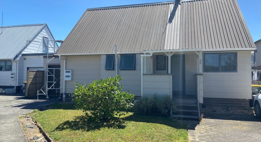  at 43c Fifth Avenue, Enderley, Hamilton, Waikato