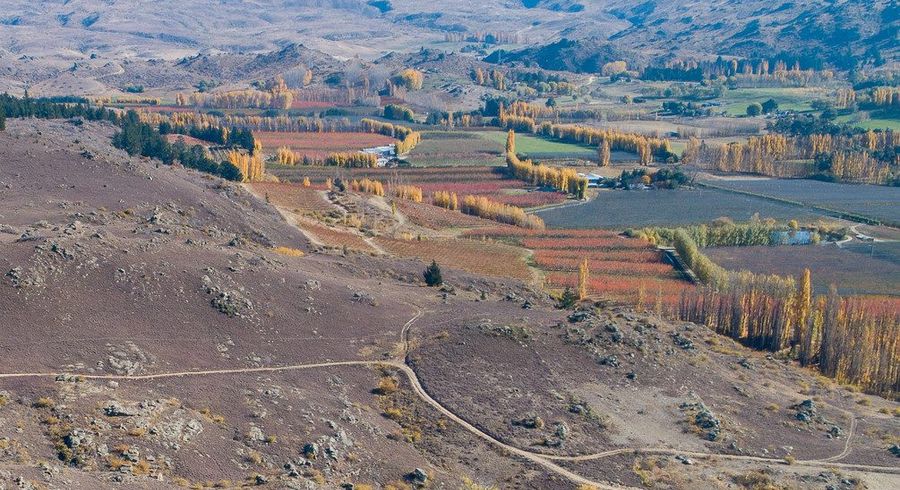  at 12/Lot 12 / 1 Conroy Road, Alexandra, Central Otago, Otago