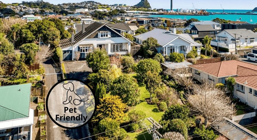  at 4 Kitchener Terrace, Moturoa, New Plymouth, Taranaki