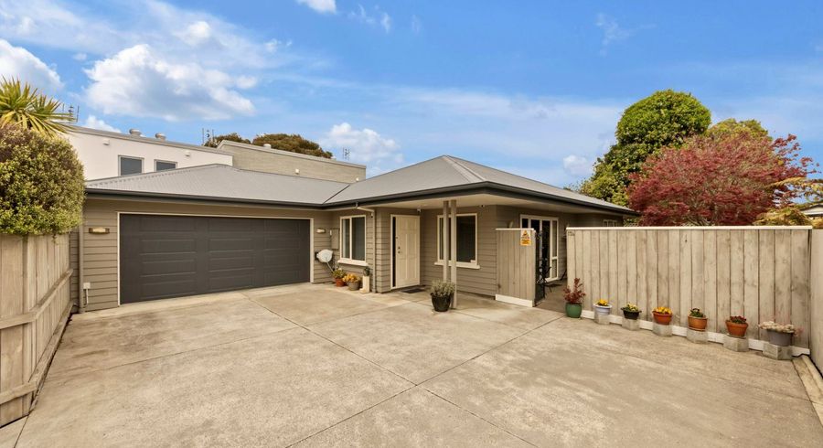  at 17A Sumner Street, Spreydon, Christchurch City, Canterbury