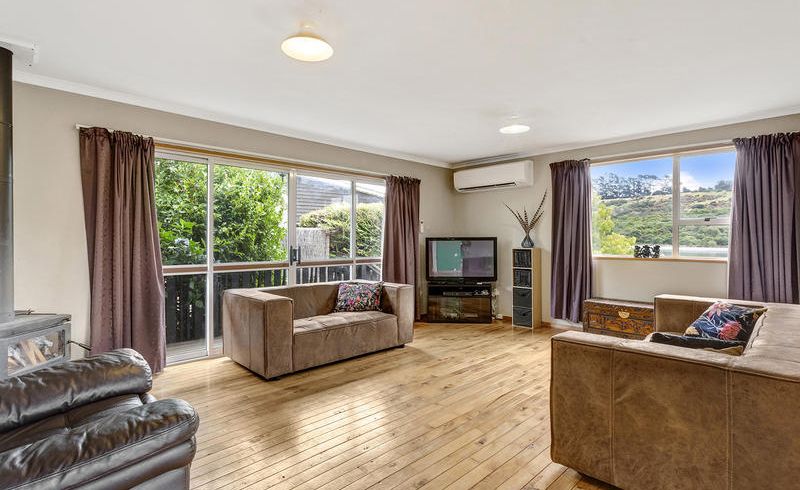  at 217 Dalziel Road, Brockville, Dunedin