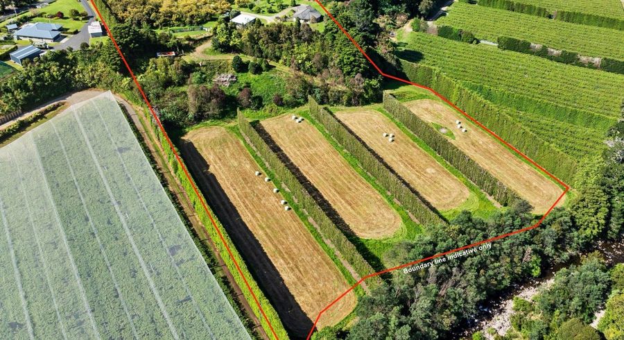  at 85 Wharawhara Road, Tahawai, Katikati