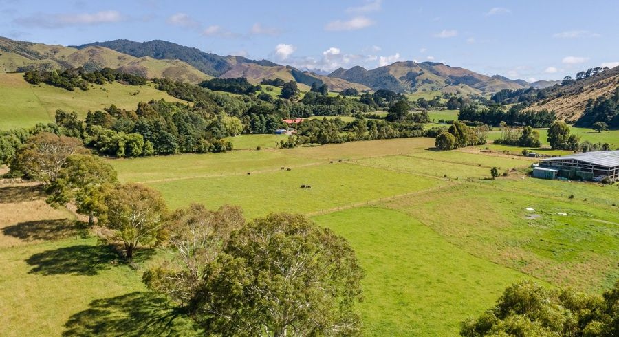  at 89 Hinau Gully Road, Carterton, Carterton, Wellington