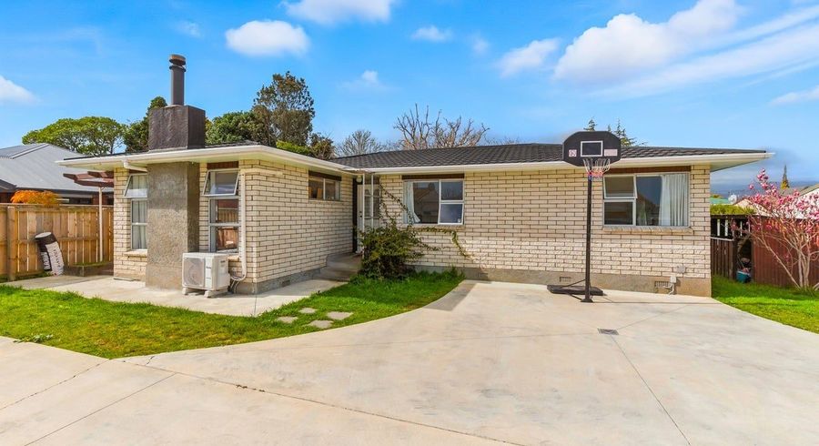  at 0 Sh57 Levin Shannon, Levin