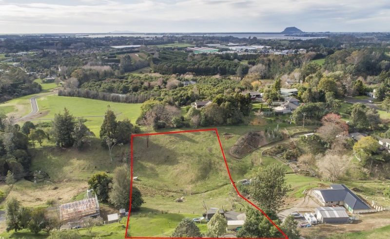  at 42 Corbett Drive, Minden, Tauranga