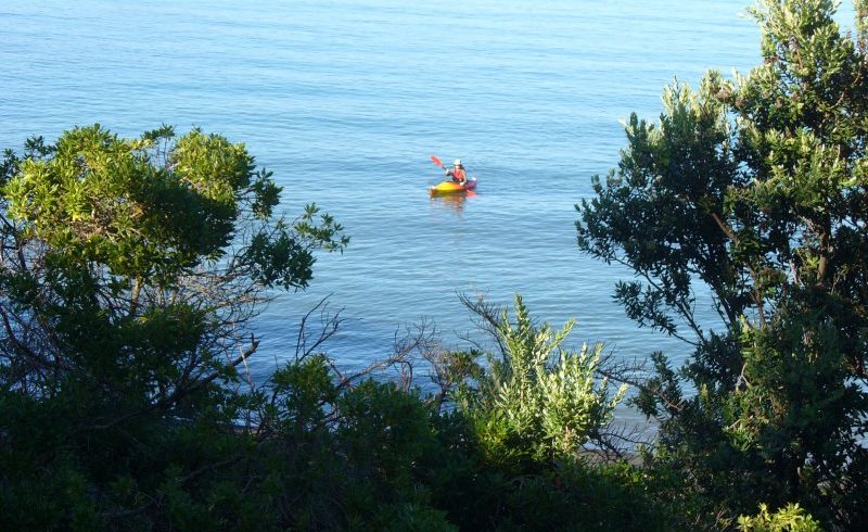  at 125A Marine Drive, Sorrento Bay, Lower Hutt