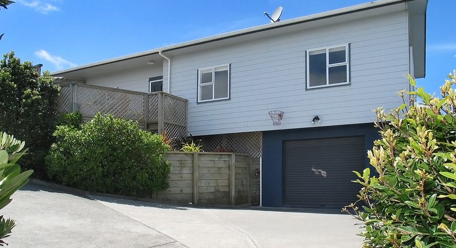  at 17 Pelorous Street, Paparangi, Wellington
